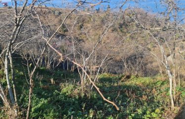 BOZCAALİDE HARİKA MANZARAYA SAHİP 1497M² ARAZİ