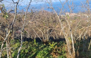 BOZCAALİDE HARİKA MANZARAYA SAHİP 1497M² ARAZİ