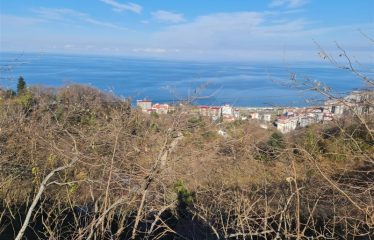 BOZCAALİDE HARİKA MANZARAYA SAHİP 1497M² ARAZİ