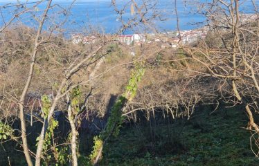 BOZCAALİDE HARİKA MANZARAYA SAHİP 1497M² ARAZİ