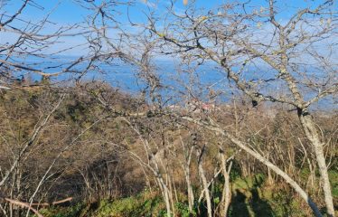 BOZCAALİDE HARİKA MANZARAYA SAHİP 1497M² ARAZİ