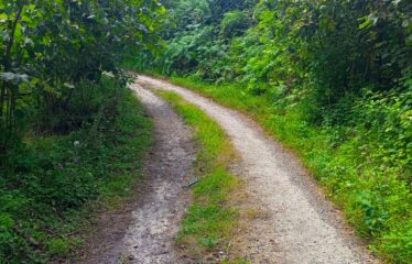 KUŞCULU KÖYÜNDE 6.806 M2 SATILIK FINDIK BAHÇESİ