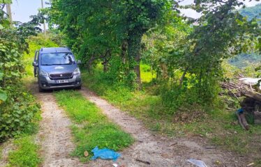 KUŞCULU KÖYÜNDE 6.806 M2 SATILIK FINDIK BAHÇESİ