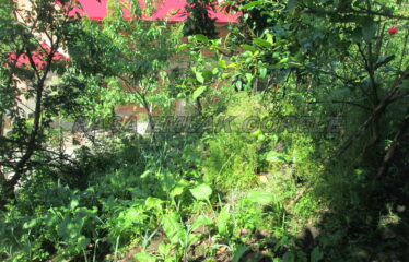 DEDELİ KÖYÜNDE İÇERİSİNDE EV OLAN 1 DÖNÜM ARAZİ