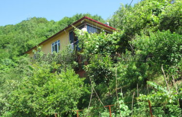 DEDELİ KÖYÜNDE İÇERİSİNDE EV OLAN 1 DÖNÜM ARAZİ