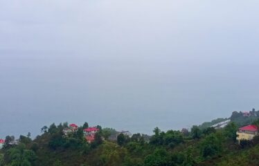 9 PARSELDEN OLUŞAN HARİKA DENİZ MANZARASINA SAHİP FINDIK BAHÇELERİ