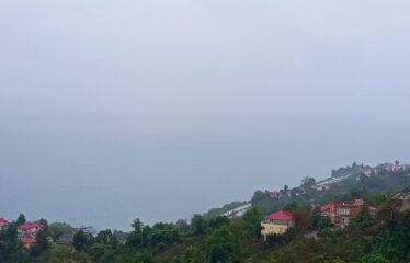 9 PARSELDEN OLUŞAN HARİKA DENİZ MANZARASINA SAHİP FINDIK BAHÇELERİ