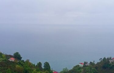 9 PARSELDEN OLUŞAN HARİKA DENİZ MANZARASINA SAHİP FINDIK BAHÇELERİ