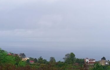 9 PARSELDEN OLUŞAN HARİKA DENİZ MANZARASINA SAHİP FINDIK BAHÇELERİ