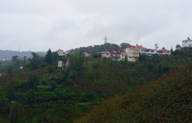 9 PARSELDEN OLUŞAN HARİKA DENİZ MANZARASINA SAHİP FINDIK BAHÇELERİ