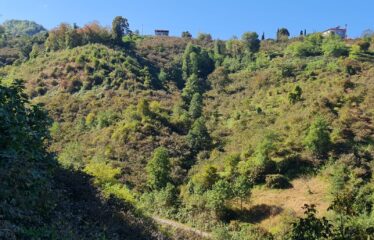 KARABURUNDA HARİKA DENİZ MANZARASINA SAHİP 14 DÖNÜM ARAZİ