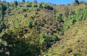 KARABURUNDA HARİKA DENİZ MANZARASINA SAHİP 14 DÖNÜM ARAZİ