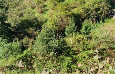 KARABURUNDA HARİKA DENİZ MANZARASINA SAHİP 14 DÖNÜM ARAZİ