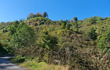 KARABURUNDA HARİKA DENİZ MANZARASINA SAHİP 14 DÖNÜM ARAZİ