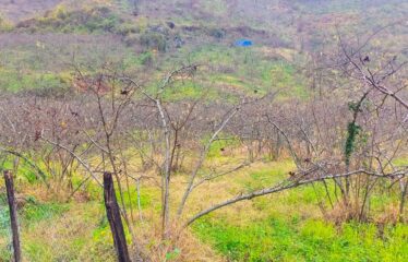 SANAYİ BÖLGESİNDE KAÇIRILMAYACAK ARAZİ