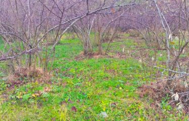 SANAYİ BÖLGESİNDE KAÇIRILMAYACAK ARAZİ