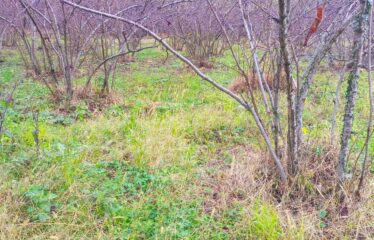 SANAYİ BÖLGESİNDE KAÇIRILMAYACAK ARAZİ