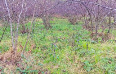 SANAYİ BÖLGESİNDE KAÇIRILMAYACAK ARAZİ