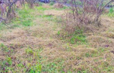 SANAYİ BÖLGESİNDE KAÇIRILMAYACAK ARAZİ