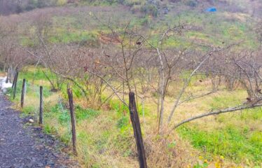 SANAYİ BÖLGESİNDE KAÇIRILMAYACAK ARAZİ