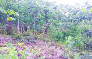 TEPEBAŞI MAHALLESİNDE HARİKA MANZARAYA SAHİP ARAZİ