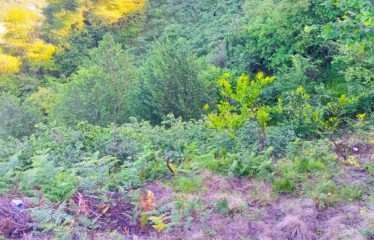 TEPEBAŞI MAHALLESİNDE HARİKA MANZARAYA SAHİP ARAZİ