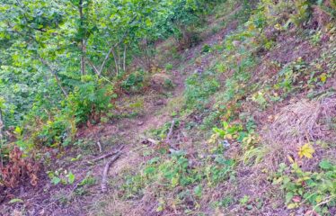 TEPEBAŞI MAHALLESİNDE HARİKA MANZARAYA SAHİP ARAZİ