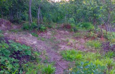 TEPEBAŞI MAHALLESİNDE HARİKA MANZARAYA SAHİP ARAZİ