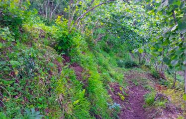 TEPEBAŞI MAHALLESİNDE HARİKA MANZARAYA SAHİP ARAZİ