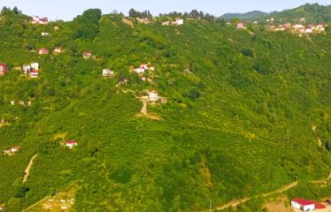 TEPEBAŞI MAHALLESİNDE HARİKA MANZARAYA SAHİP ARAZİ