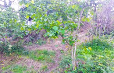 TEPEBAŞI MAHALLESİNDE HARİKA MANZARAYA SAHİP ARAZİ