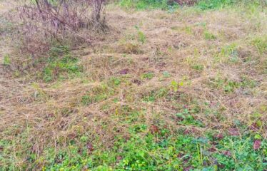 SANAYİ BÖLGESİNDE KAÇIRILMAYACAK ARAZİ