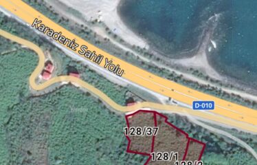 9 PARSELDEN OLUŞAN HARİKA DENİZ MANZARASINA SAHİP FINDIK BAHÇELERİ