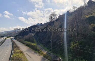 9 PARSELDEN OLUŞAN HARİKA DENİZ MANZARASINA SAHİP FINDIK BAHÇELERİ