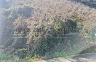 9 PARSELDEN OLUŞAN HARİKA DENİZ MANZARASINA SAHİP FINDIK BAHÇELERİ