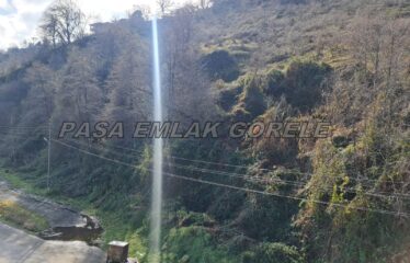 9 PARSELDEN OLUŞAN HARİKA DENİZ MANZARASINA SAHİP FINDIK BAHÇELERİ