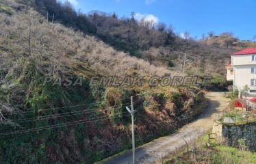 9 PARSELDEN OLUŞAN HARİKA DENİZ MANZARASINA SAHİP FINDIK BAHÇELERİ