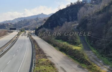 9 PARSELDEN OLUŞAN HARİKA DENİZ MANZARASINA SAHİP FINDIK BAHÇELERİ