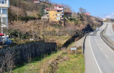 9 PARSELDEN OLUŞAN HARİKA DENİZ MANZARASINA SAHİP FINDIK BAHÇELERİ