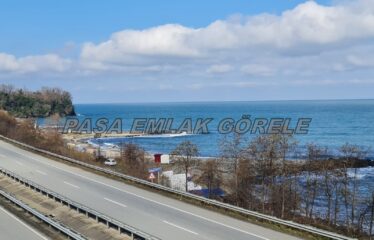 9 PARSELDEN OLUŞAN HARİKA DENİZ MANZARASINA SAHİP FINDIK BAHÇELERİ