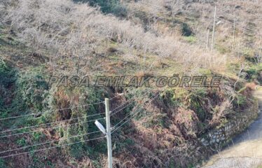 9 PARSELDEN OLUŞAN HARİKA DENİZ MANZARASINA SAHİP FINDIK BAHÇELERİ