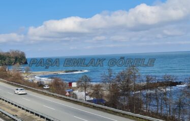 9 PARSELDEN OLUŞAN HARİKA DENİZ MANZARASINA SAHİP FINDIK BAHÇELERİ