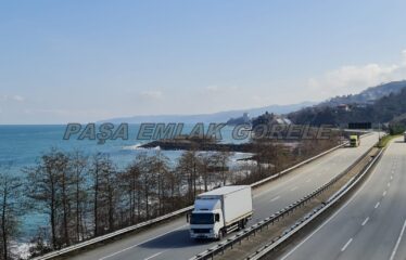 9 PARSELDEN OLUŞAN HARİKA DENİZ MANZARASINA SAHİP FINDIK BAHÇELERİ