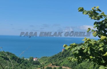 TÜRKELLİDE HARİKA MANZARAYA SAHİP PROJESİ HAZIR ARAZİ