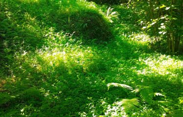 CİLLİOĞLU MAHALLESİNDE SATILIK ARAZİ