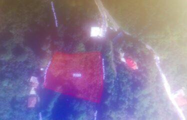 İKİ YOL ARASINDA SATILIK FINDIK BAHÇESİ