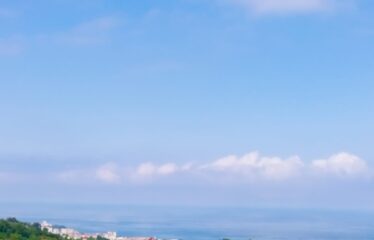 İKİ YOL ARASINDA SATILIK FINDIK BAHÇESİ