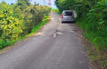 İKİ YOL ARASINDA SATILIK FINDIK BAHÇESİ