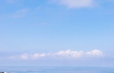 İKİ YOL ARASINDA SATILIK FINDIK BAHÇESİ