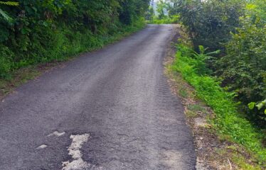 İKİ YOL ARASINDA SATILIK FINDIK BAHÇESİ